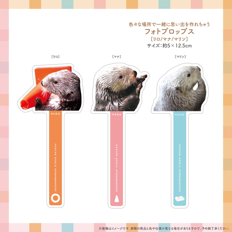 忘れない記憶」セット | すいそう