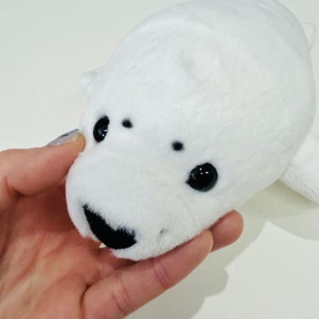 ぽちゃまる アザラシ