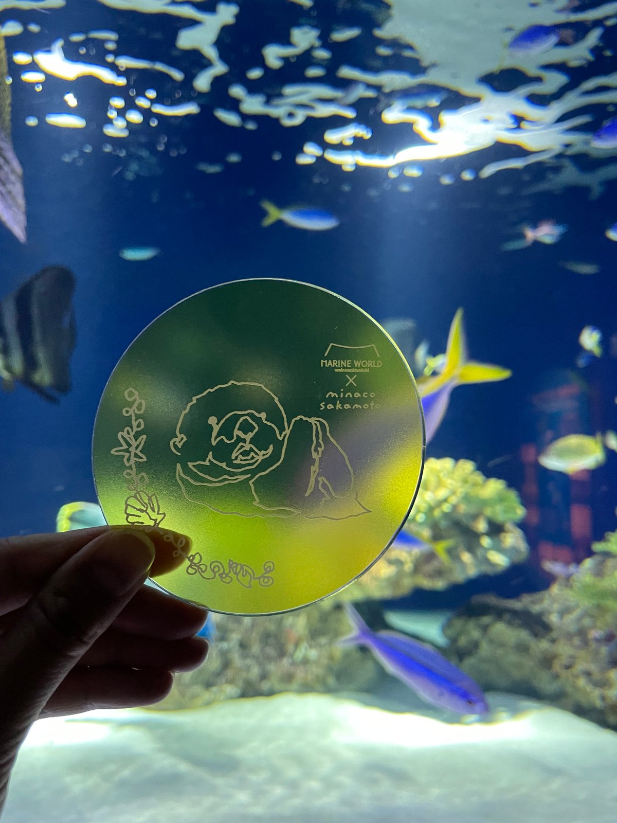 fit=scale-down,w=1200