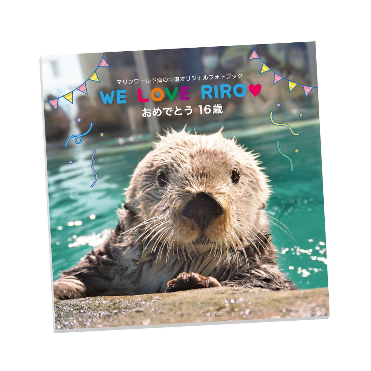 ラッコ　リロ　カメラストラップ　マリンワールド海の中道 ラッコリロカメラストラップマリンワールド海の中道