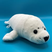 ぽちゃまる アザラシ