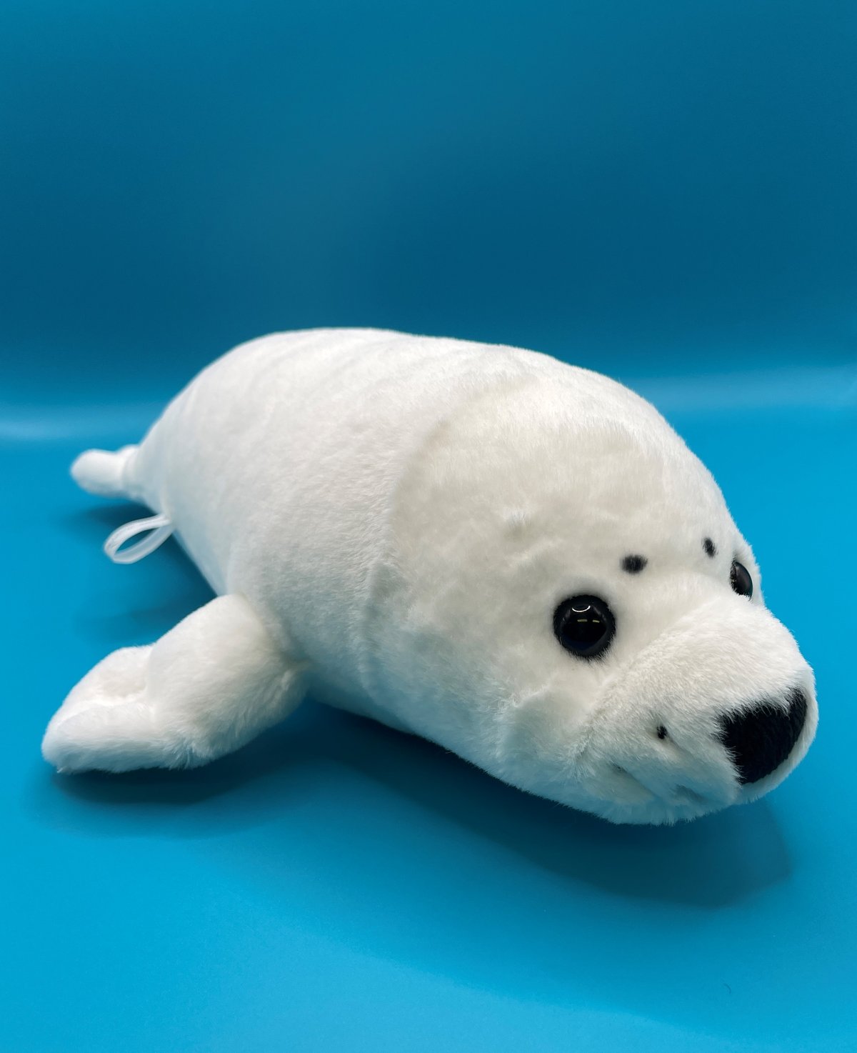 アザラシ ぬいぐるみ そう 🦭新商品情報🦭. 「海中散歩」シリーズより. 