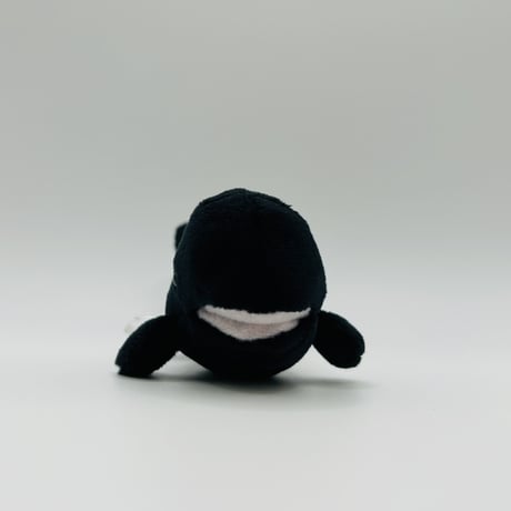 マグネット（コビレゴンドウ）