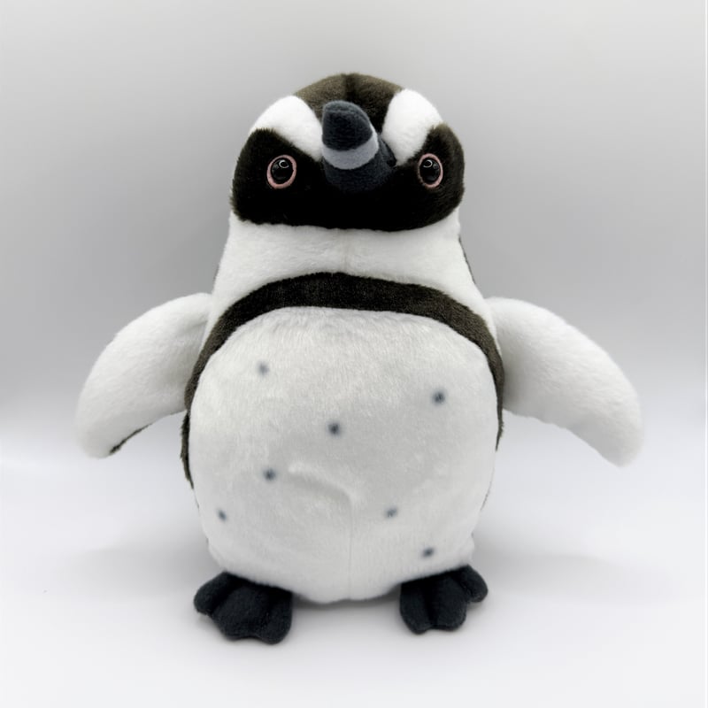 ぽちゃまる ケープペンギン | すいそう