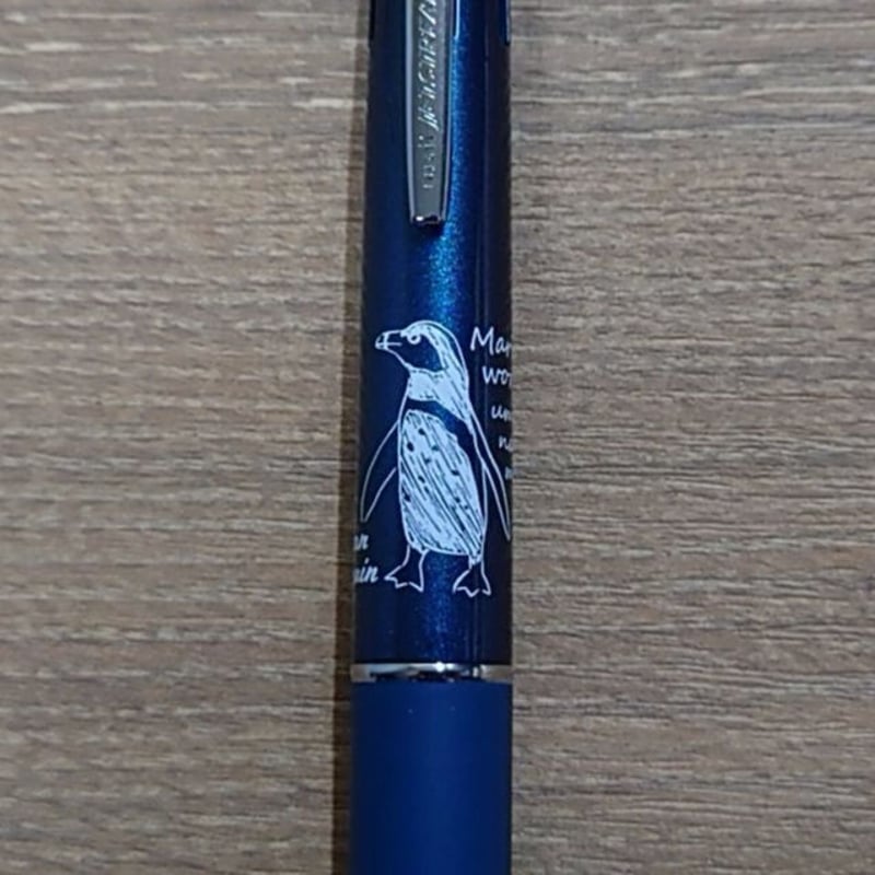 ジェットストリーム 4＆1（ケープペンギン）- ティールブルー