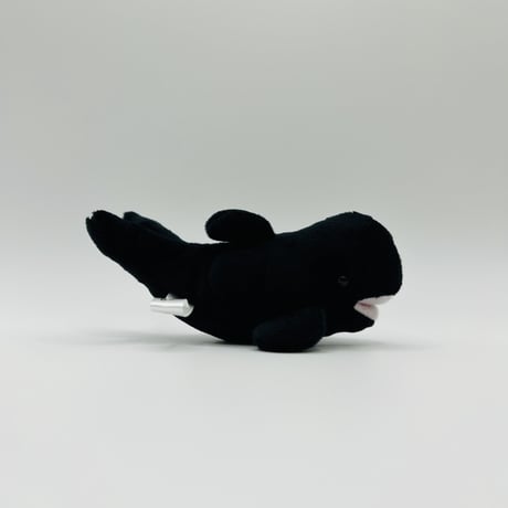 マグネット（コビレゴンドウ）