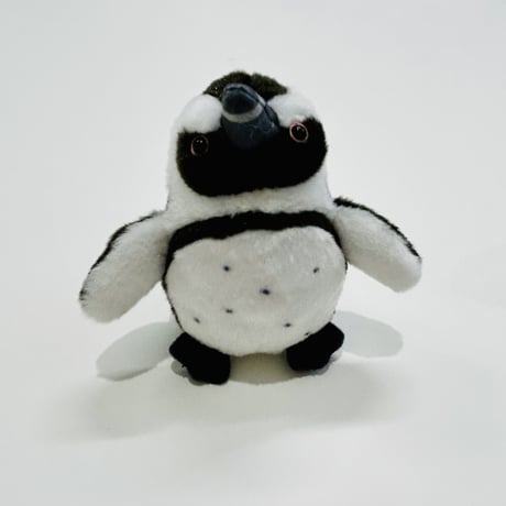 ぽちゃまるマスコット（ケープペンギン）