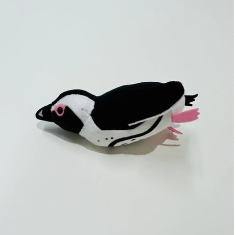 てのりケープペンギン