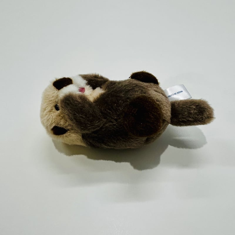 もにまるず　ラッコ ぽちゃまるマグネット（ラッコ） | すいそう