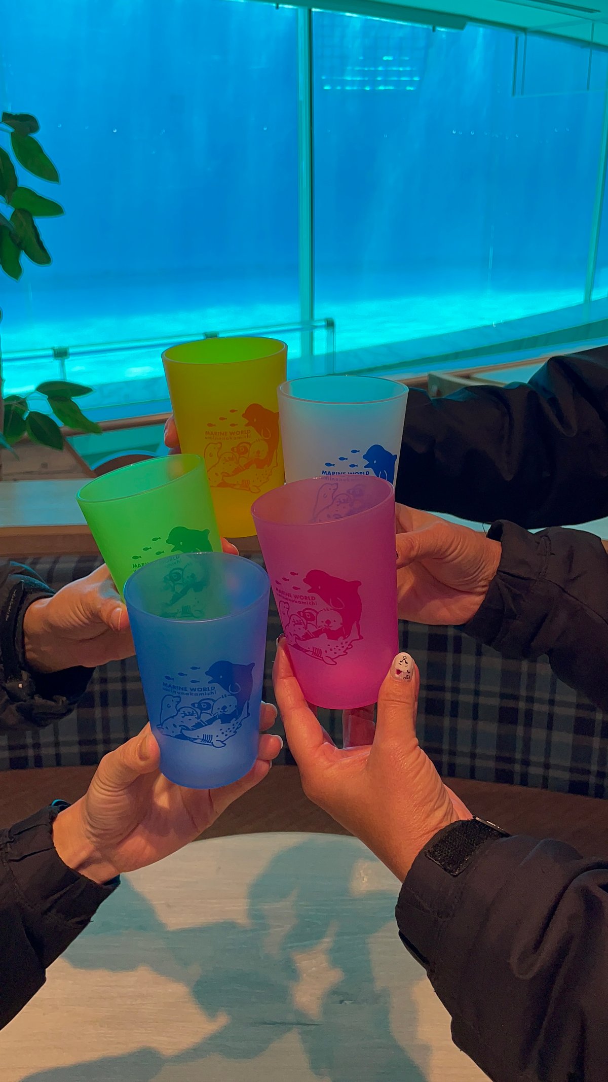 新品　九條都と新海天フロストマグカップ 新品 九條都と新海天フロストマグカップ - メルカリ
