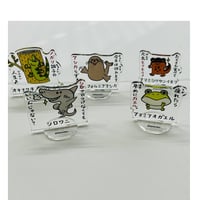 【マリンワールド×パントビスコ】アクリルスタンド
