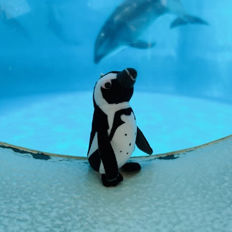 dou dou マスコット　いつもいっしょ ともだちペンギン