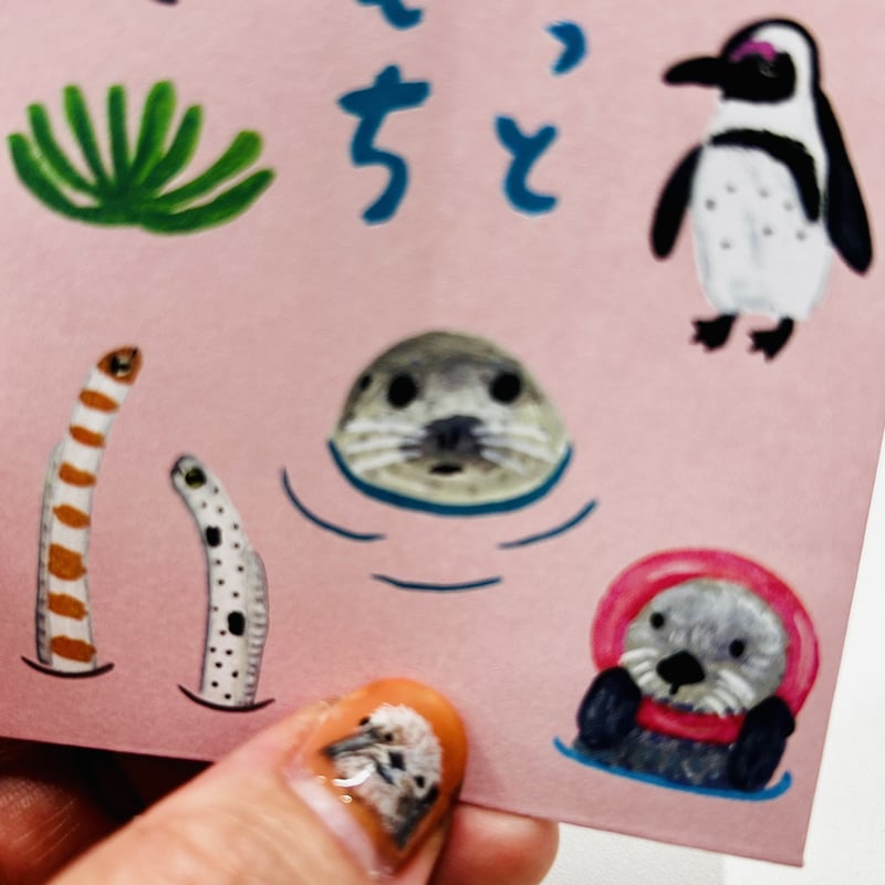 マリンワールド×ミヤタチカ】ポチ袋 | すいそう