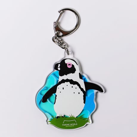 アクリルキーホルダー（ケープペンギン）