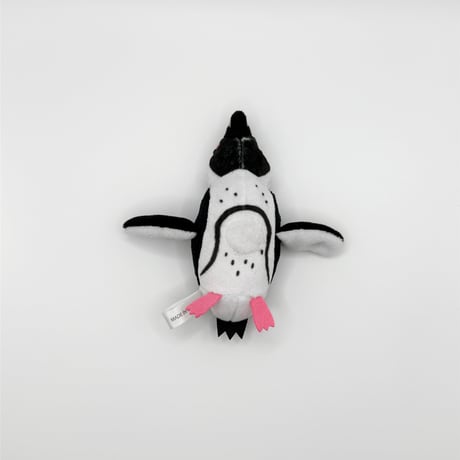 マグネット（ケープペンギン）