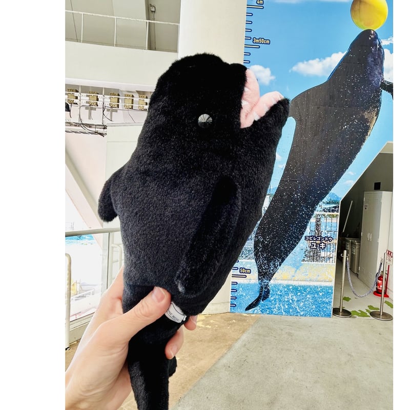 ぽちゃまる ユキちゃん | すいそう