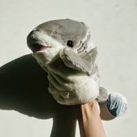 ハンドパペット（シロワニ）