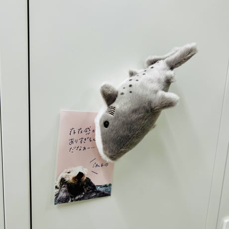 ぽちゃまるマグネット（シロワニ）