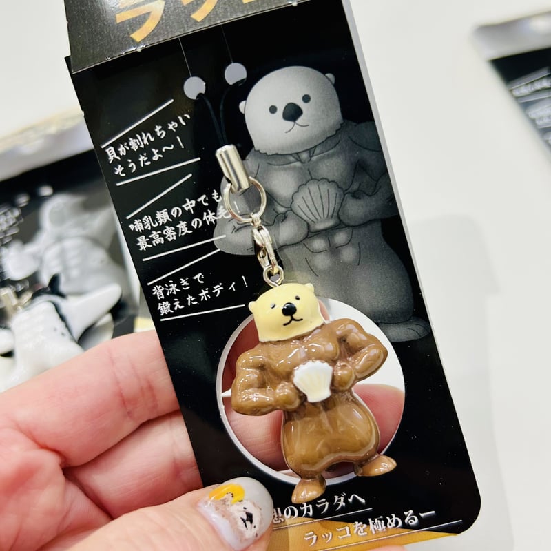 しあがってるラッコ | すいそう