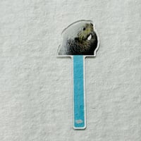 フォトプロップス（マリン）