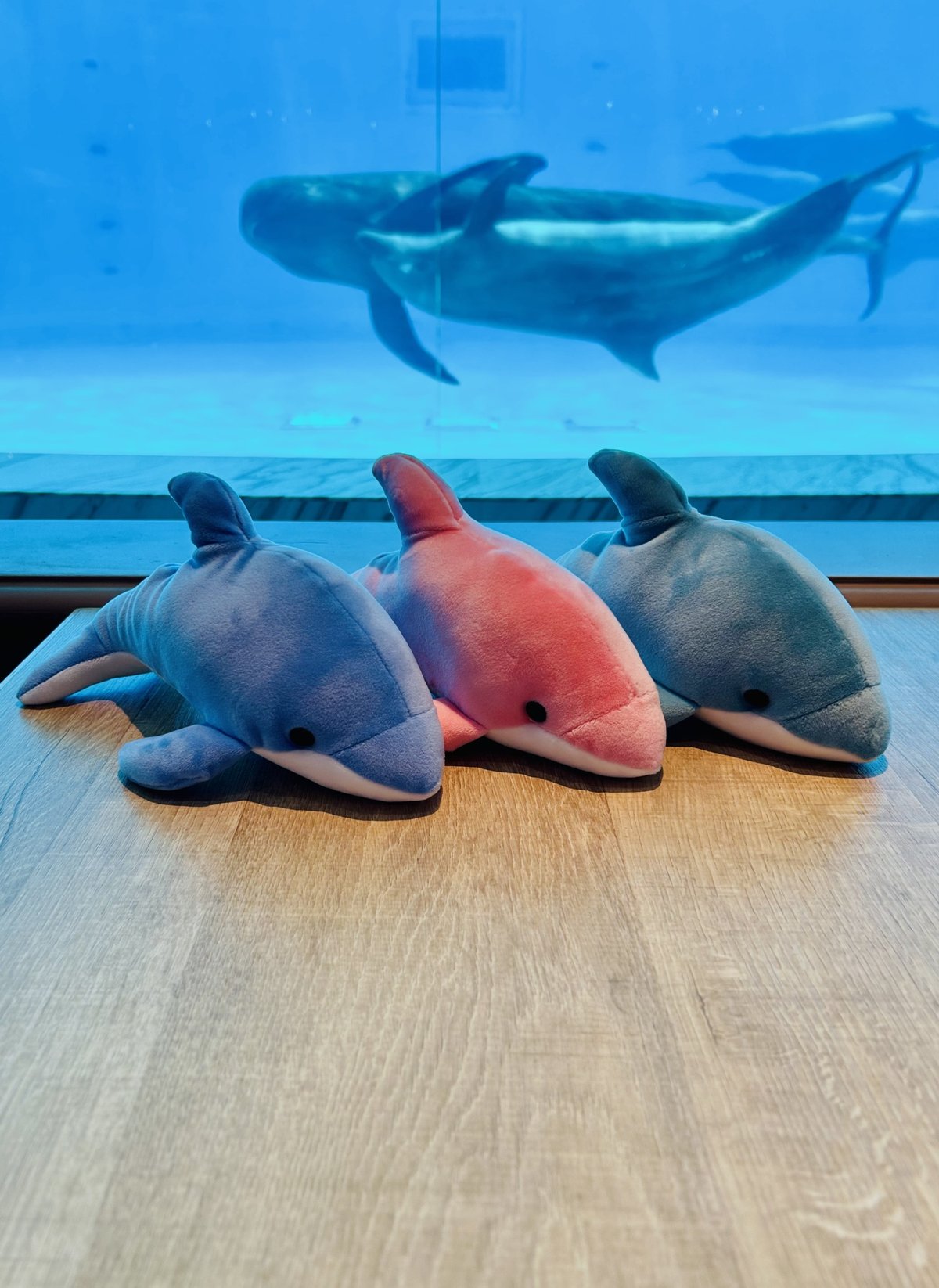 みーちゃん様ご確認ください　ソーダカラーぬいぐるみBIGアオイルカピンクイルカ ゆるいるか ふわふわソーダカラー ぬいぐるみ BIG みいるか
