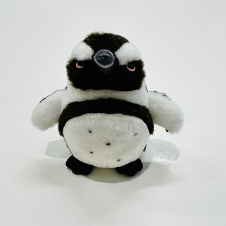 ぽちゃまるマグネット（ケープペンギン）