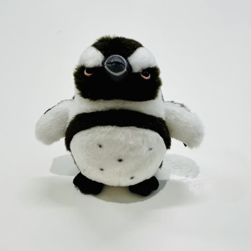 ぽちゃまるマグネット（ケープペンギン） | すいそう