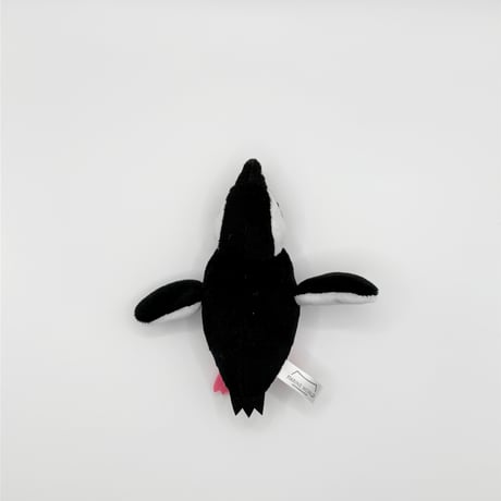 マグネット（ケープペンギン）