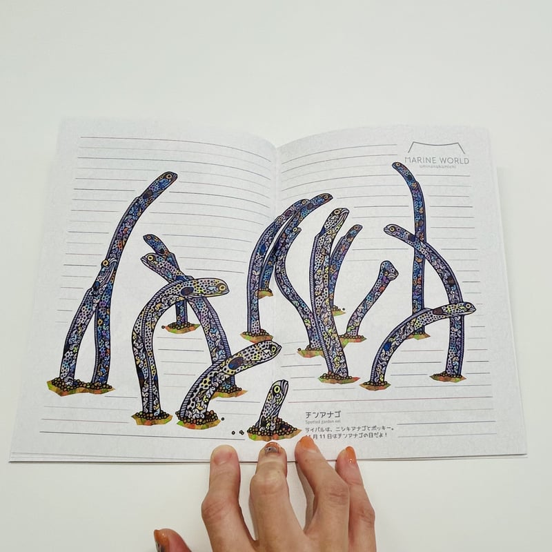 希少本】東シナ海・黄海の魚類誌