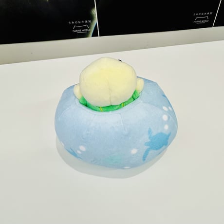 ちょころん（アオウミガメ）