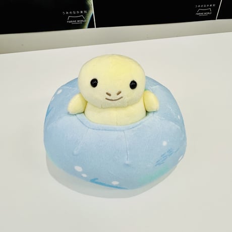ちょころん（アオウミガメ）