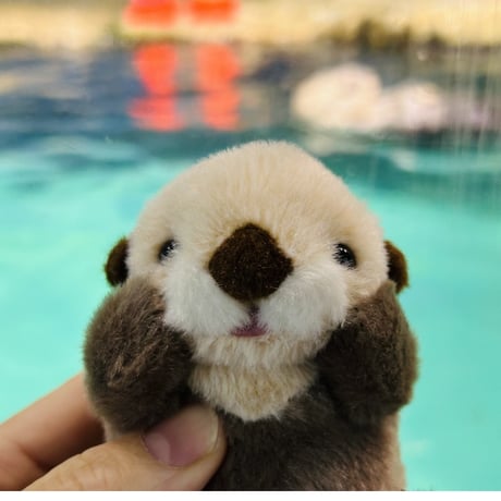 ぽちゃまるマスコット（ラッコ）