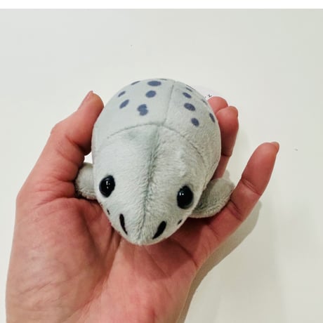 てのりアザラシ