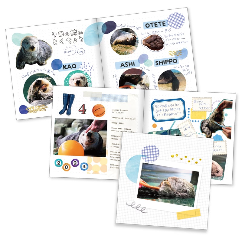 オリジナルフォトブック RIRO NOTE | すいそう