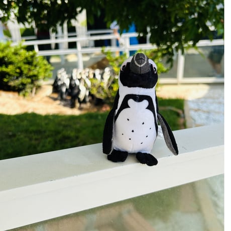 dou dou マスコット　いつもいっしょ ともだちペンギン