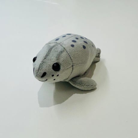 てのりアザラシ