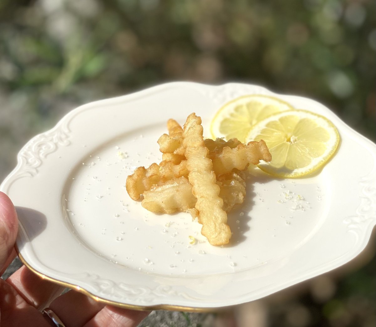 【Lemon&Olive Happiness】レモンの木 オリーブ シーグラス Lemon&Olive Happiness】レモンの木 オリーブ シーグラス