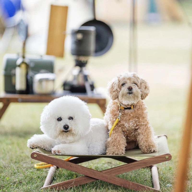 オリジナルドッグコット | pastime factory