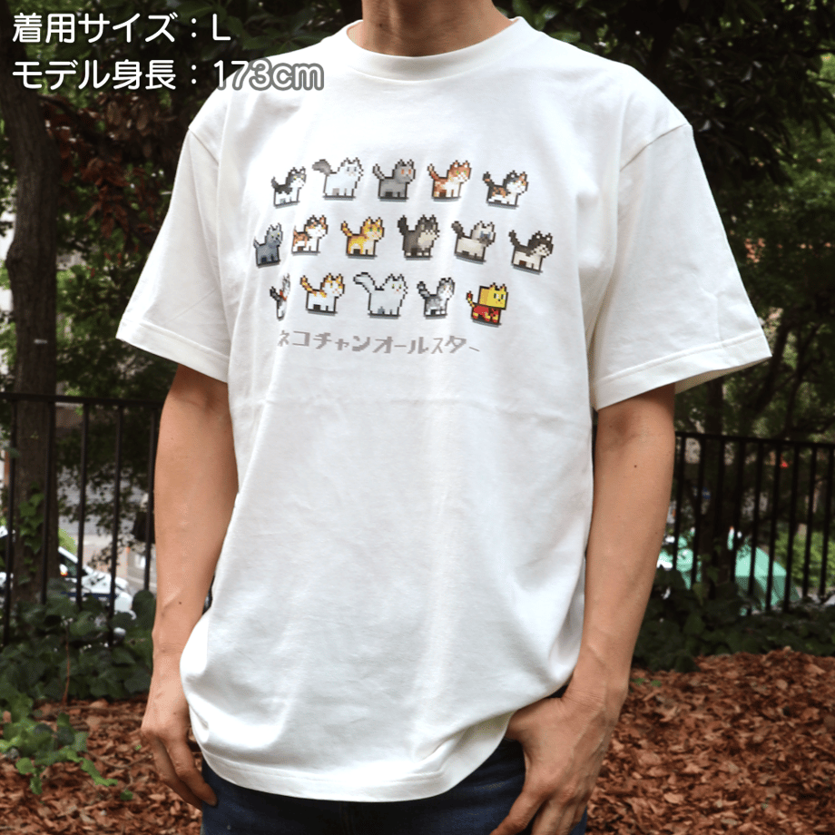 68ed904f41d565e8e7b163d9