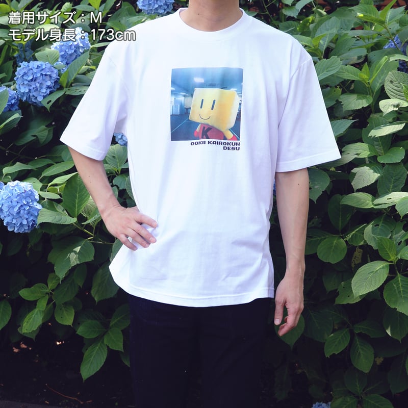 tシャツくん サイズ Tシャツくん スモールフレームをレビュー