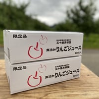 【40パック】サンふじ100％りんごジュース