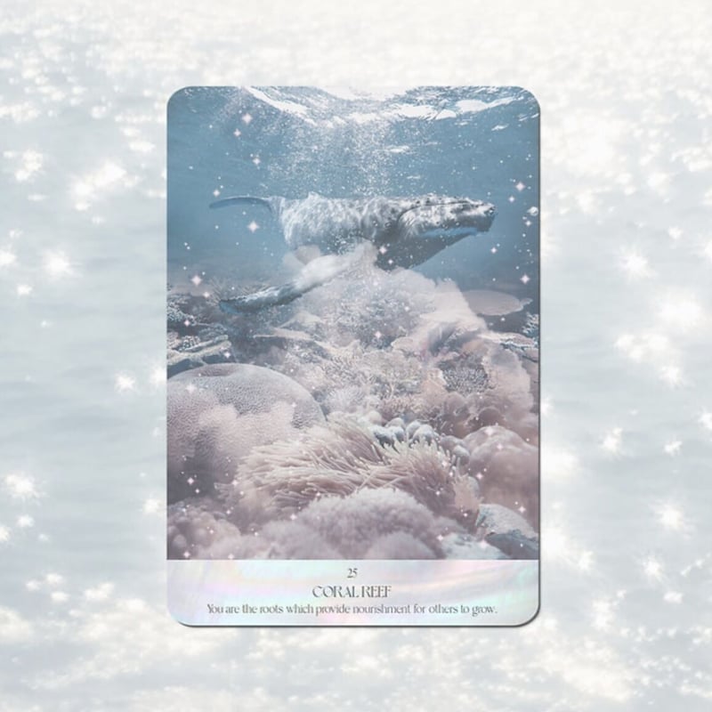 Salt Waterオラクルカード | MaPRE/PREaLIS Salt Waterオラクルカード | MaPRE/PREaLIS