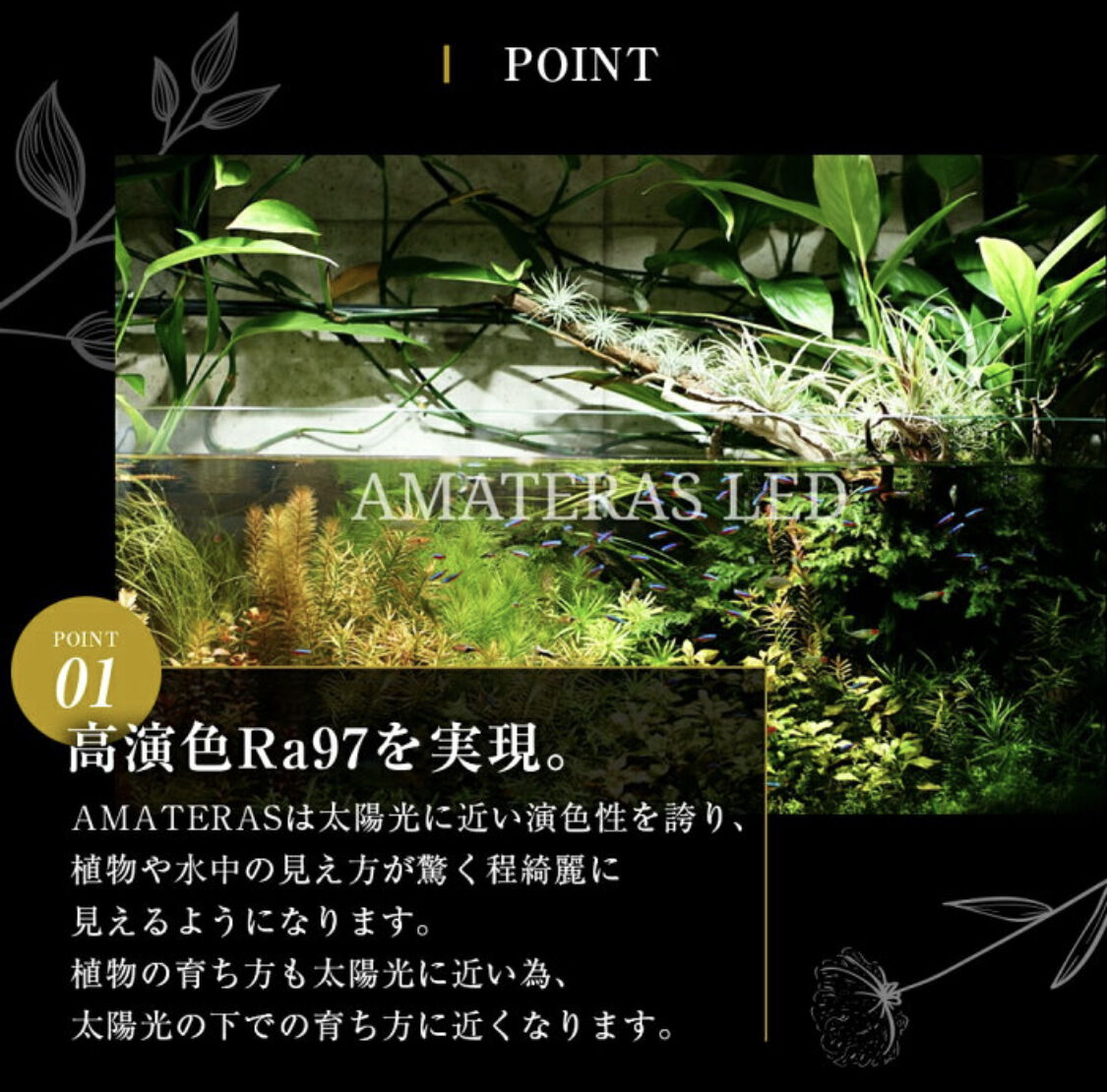 AMATERAS LED 20W 植物育成ライト