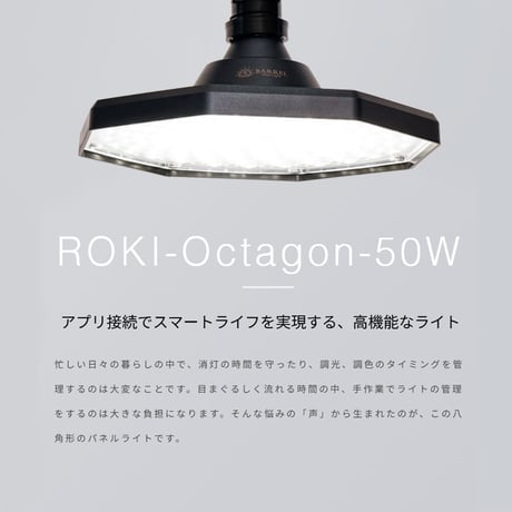 ROKI-OCTAGON-50W
