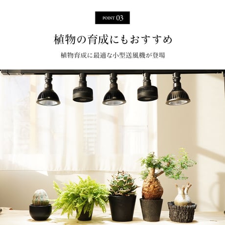 BARREL 小型送風機 植物育成 AECHMEA エクメア マットブラック