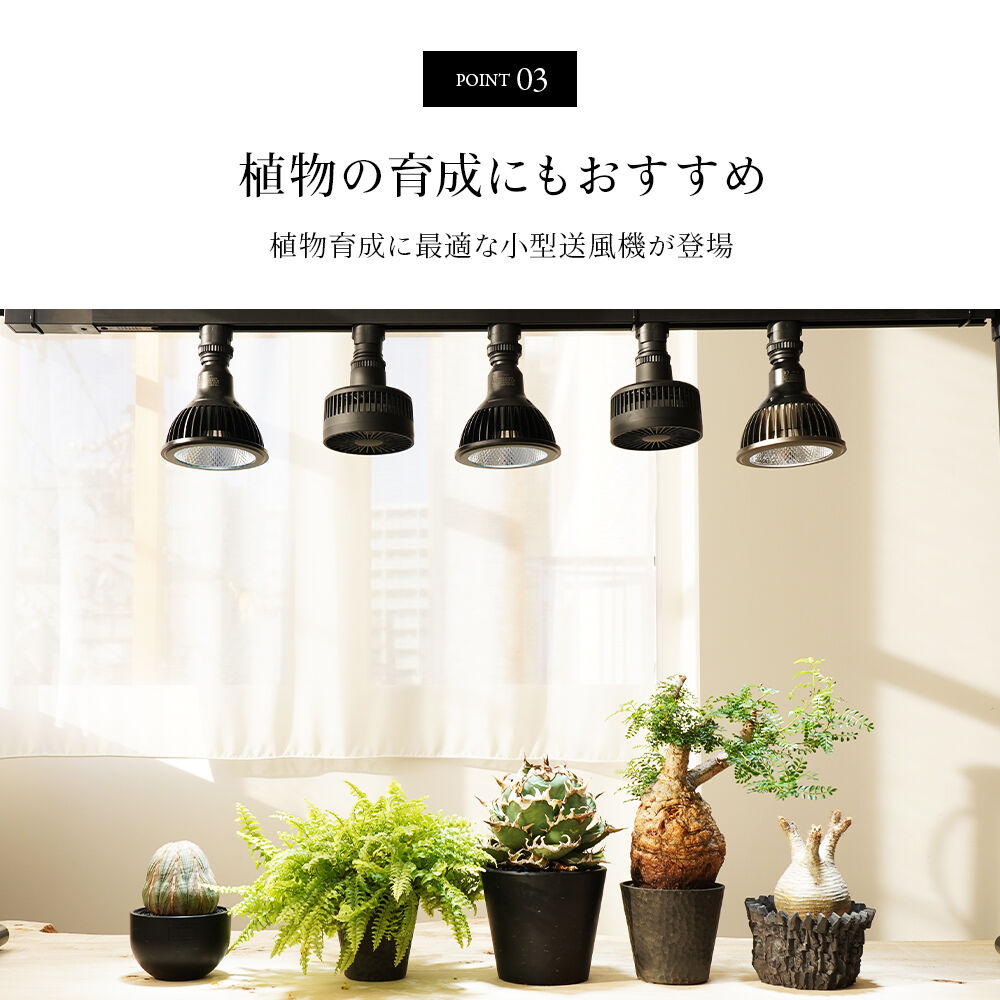 BARREL Aechmea 植物育成　小型送風機 マットブラック　2個セット 楽天市場】エクメア【小型送風機】AECHMEA 改良版 BARREL