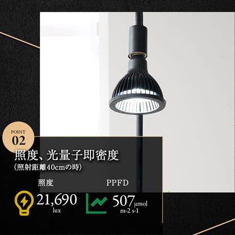 NEO TSUKUYOMI LED 20W BLACK EDITION