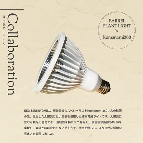 NEOTSUKUYOMI LED 20W White