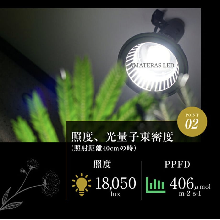 60e2f879228d2674e23c2447