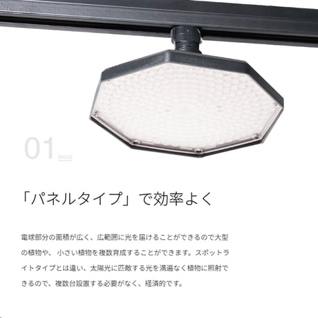ROKI-OCTAGON-50W